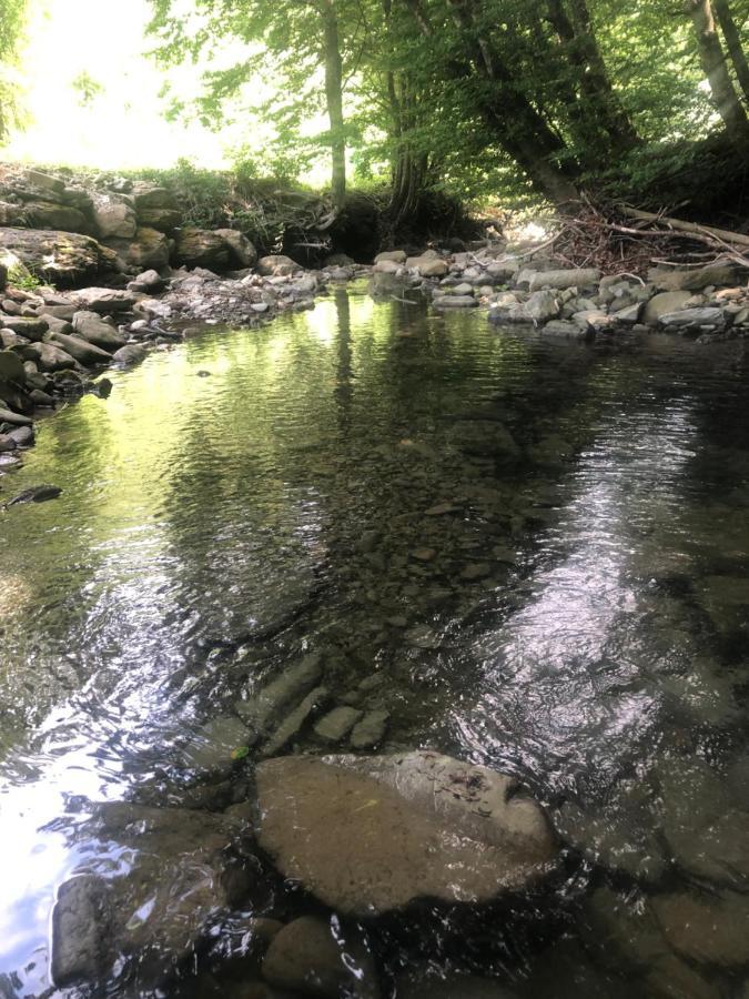 Ferienwohnung Casa Nel Bosco, Appennino Tosco Emiliano Camugnano Exterior foto